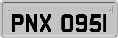 PNX0951