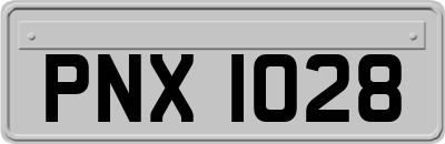 PNX1028