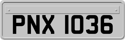 PNX1036