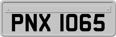 PNX1065