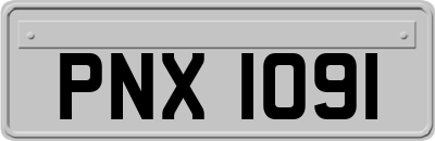 PNX1091
