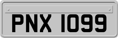 PNX1099