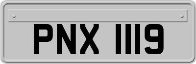 PNX1119