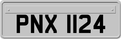 PNX1124