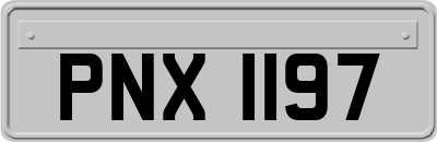 PNX1197