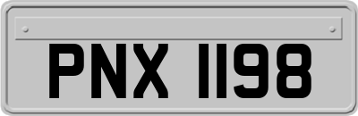 PNX1198