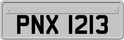 PNX1213
