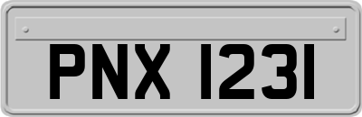 PNX1231