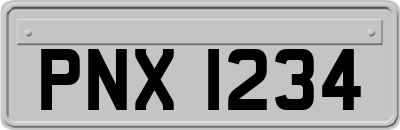 PNX1234