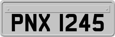 PNX1245