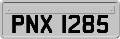 PNX1285