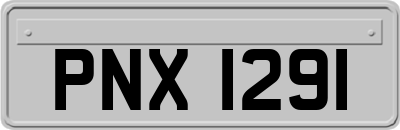 PNX1291