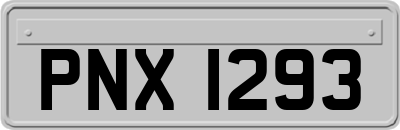 PNX1293