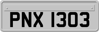 PNX1303