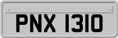 PNX1310