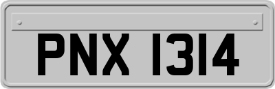 PNX1314