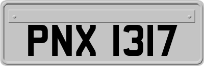 PNX1317