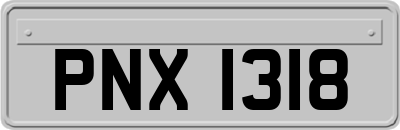 PNX1318