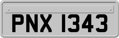PNX1343