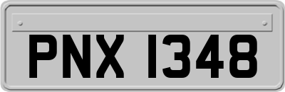 PNX1348