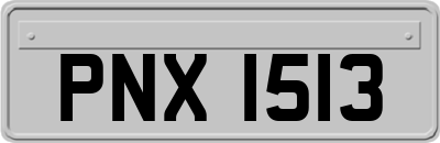 PNX1513