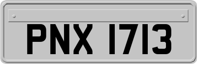 PNX1713