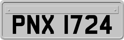 PNX1724