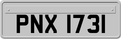 PNX1731