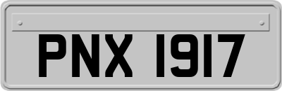 PNX1917
