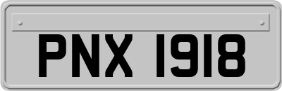 PNX1918