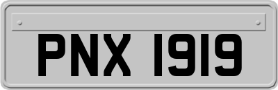 PNX1919
