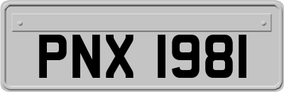 PNX1981