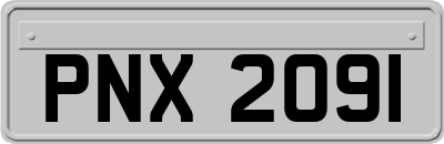 PNX2091