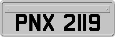 PNX2119