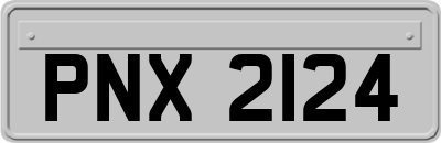 PNX2124
