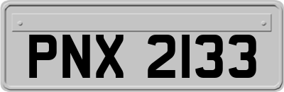 PNX2133