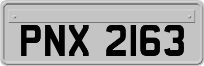 PNX2163