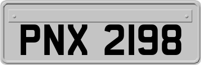 PNX2198