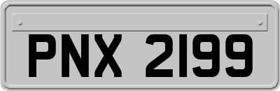 PNX2199