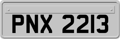 PNX2213