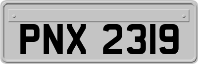 PNX2319