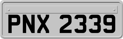 PNX2339