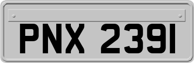 PNX2391