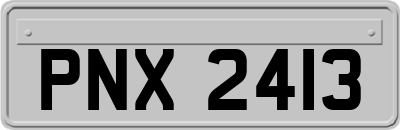 PNX2413