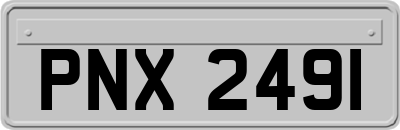 PNX2491