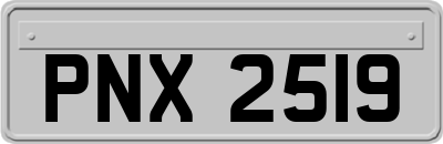 PNX2519