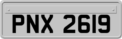 PNX2619