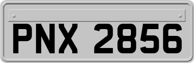 PNX2856