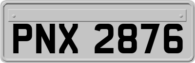 PNX2876