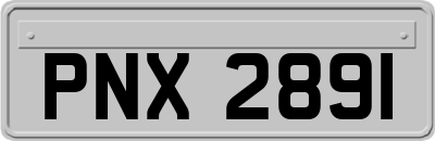 PNX2891